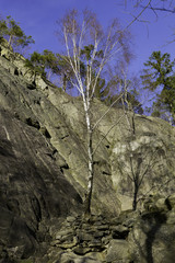 Wanderung im Okertal