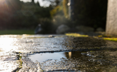 Pfütze in der Sonne