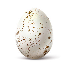 White egg with spots