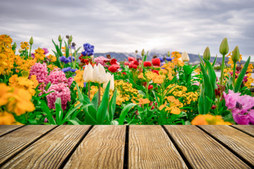 Empty Old Wooden table with Flowers garden background .