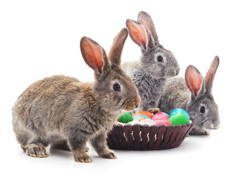 Easter bunnies with colored eggs.