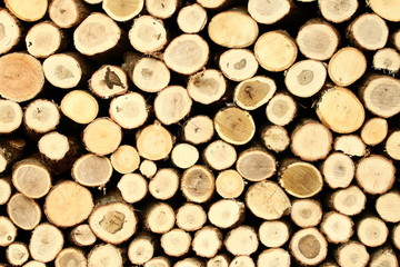 겨울에 난로에 땔 장작