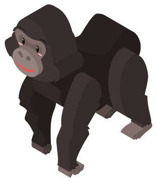 Gorilla with black fur in 3D