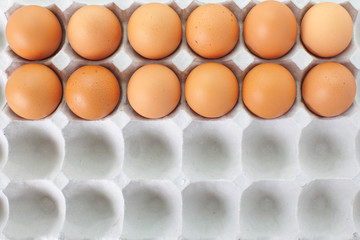 Close up Fresh eggs in box carton