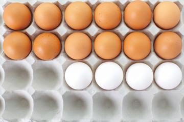 Close up Fresh eggs in box carton