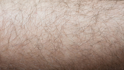 a funny background. hairy male leg