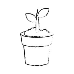 plant in pot icon image vector illustration design 