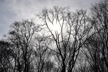 Ukraine, Donetsk city