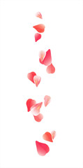 Pink Red flying petals isolated on white. Sakura Roses petals. Vector