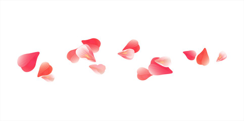 Pink Red flying petals isolated on white. Sakura Roses petals. Vector
