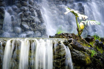 tropical waterfall