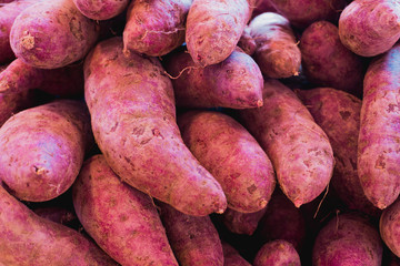 Fresh sweet potato with root at farmer market as a food background
