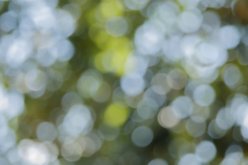 blur bokeh from nature light