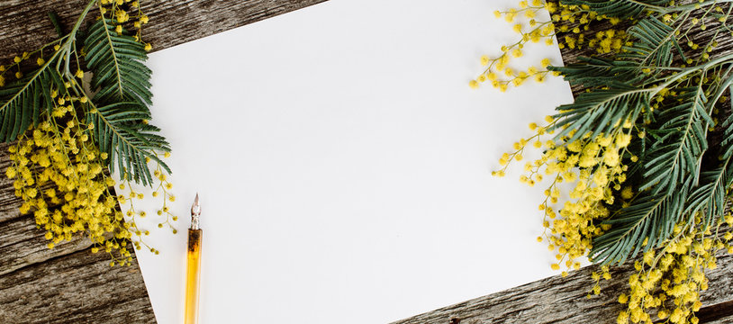 White Paper Mock Up With Yellow Flowers Mimosas And Vintage Pen Ink On Grey Wooden Background