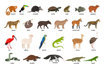 Large set of animals of South America