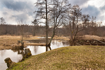 Spring stream. Early spring on small river. Cloudy spring