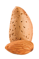 two almond nut isolated on white background close-up macro