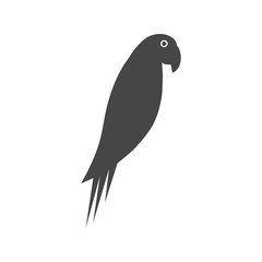 Macaw Bird Icon Flat Graphic Design - Illustration