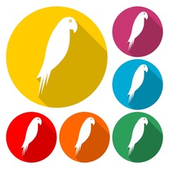 Macaw Bird Icon Flat Graphic Design - Illustration