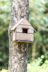Wooden bird house on tree