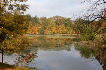 The lake on a autumn day.