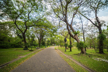 Green city public park.