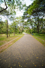 Green city public park.