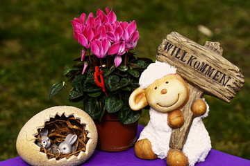 Ostergäste - Ostern - Frohe Ostern - Alpenveilchen m Schäfchen u Hasenei