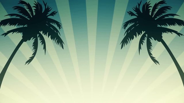 Summer themed palm trees silhouette looped animation background