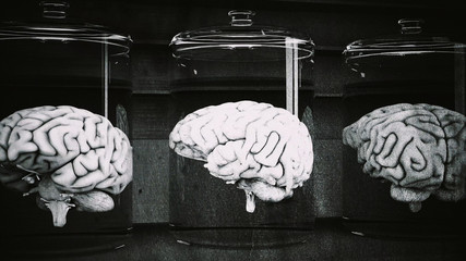 Human Brains in Science Laboratory Glasses © boscorelli