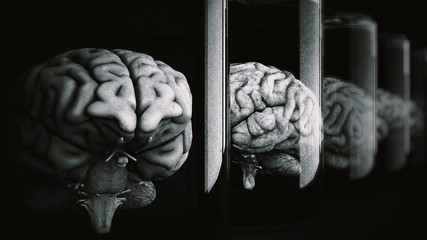 Human Brains in Science Laboratory Glasses © boscorelli
