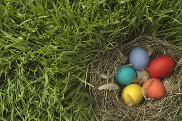 nest with Easter eggs on a grass
