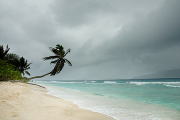 Lonely palm tree on a beach in paradise on rainy day