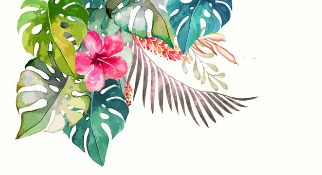 Hand drawn watercolor tropical plants