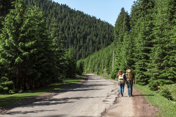 Obraz premium The couple go with travel backpacks on the edge of the road near a pine forest. Active holidays in the mountains