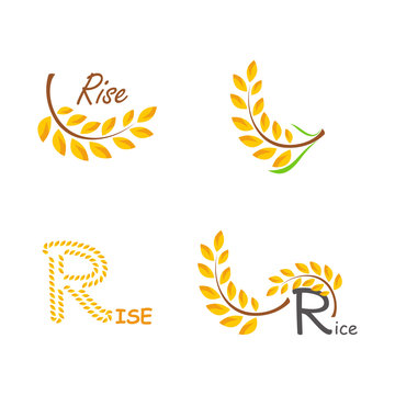 Set of logos rice