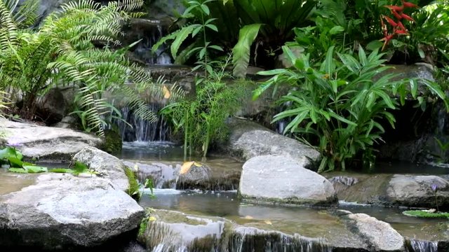 Small waterfall and pool with rocks and plants surrounding in nature