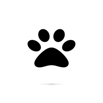 paw print isolated on white