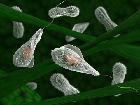 Microorganisms in the natural habitat 3d image.