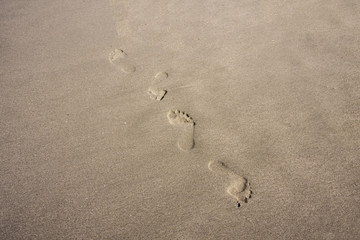 Footprints in the sand