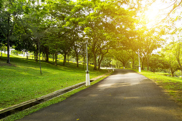 Beautiful morning light in public park with green grass field and jogging path.