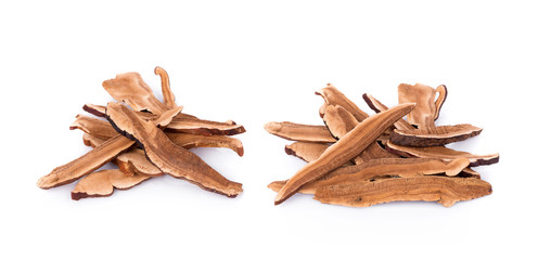 Ganoderma Lucidum isolated on white background