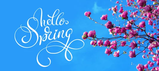 Gartenposter Magnolie spring branch of magnolia pink flowers of apple and text Hello Spring. Calligraphy lettering