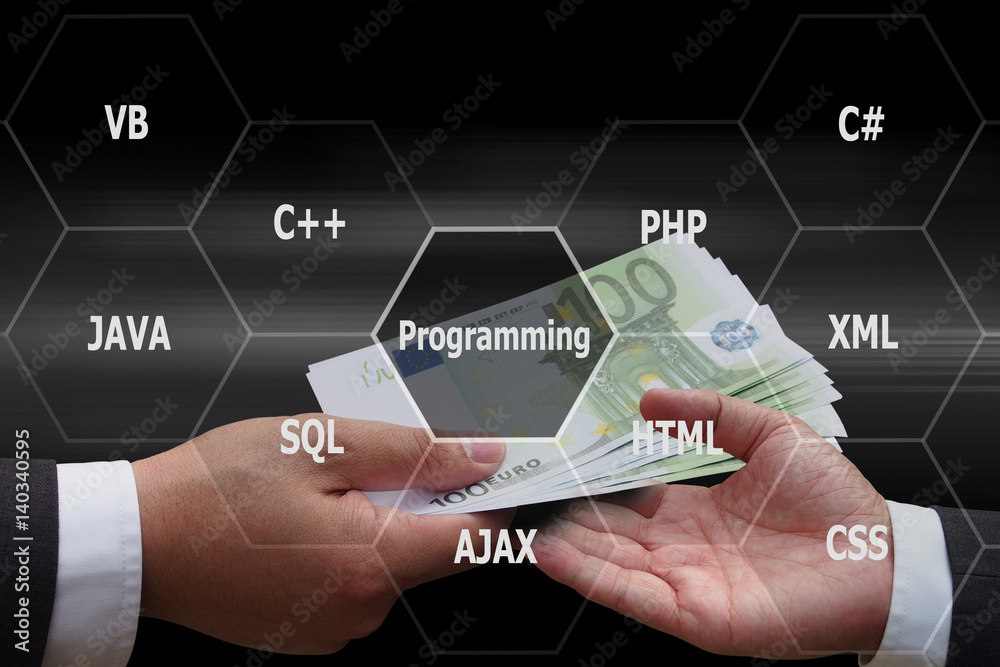 Wall mural businessman giving euro money to programmer with virtual panel of programming languages, computer te