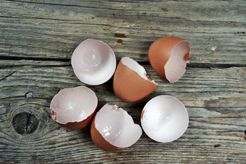 Shells of empty brown eggs