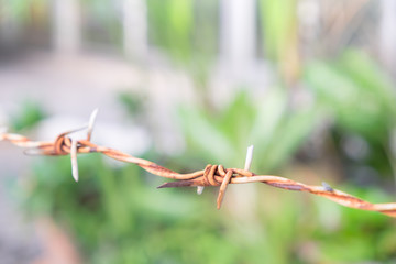 close up old, dirty and rusty barbed wire with blur garden background.