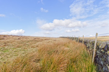 Fototapeta premium In the Derbyshire Peak District a dry stone wall separates open moorland from a farmers field