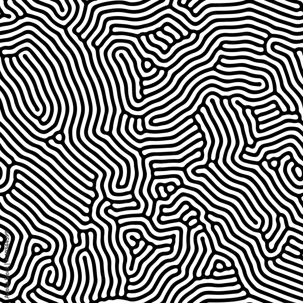 Poster Abstract background of vector organic irregular lines maze pattern