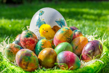 Basket with easter eggs and tulips
