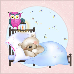 The bear sleeps